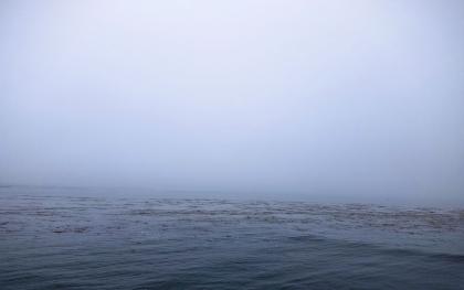 123，新华微评123国耻岂是追星的梗图片