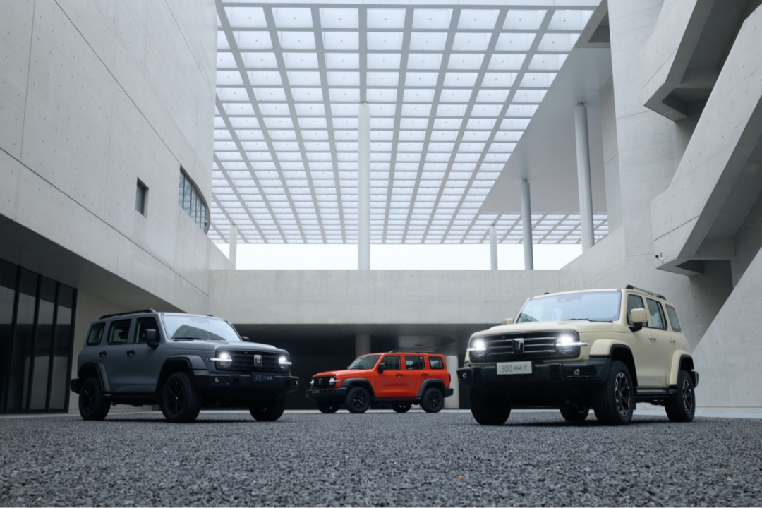 内饰、智能化全面升级 2025款坦克300上市：19.98万起图片